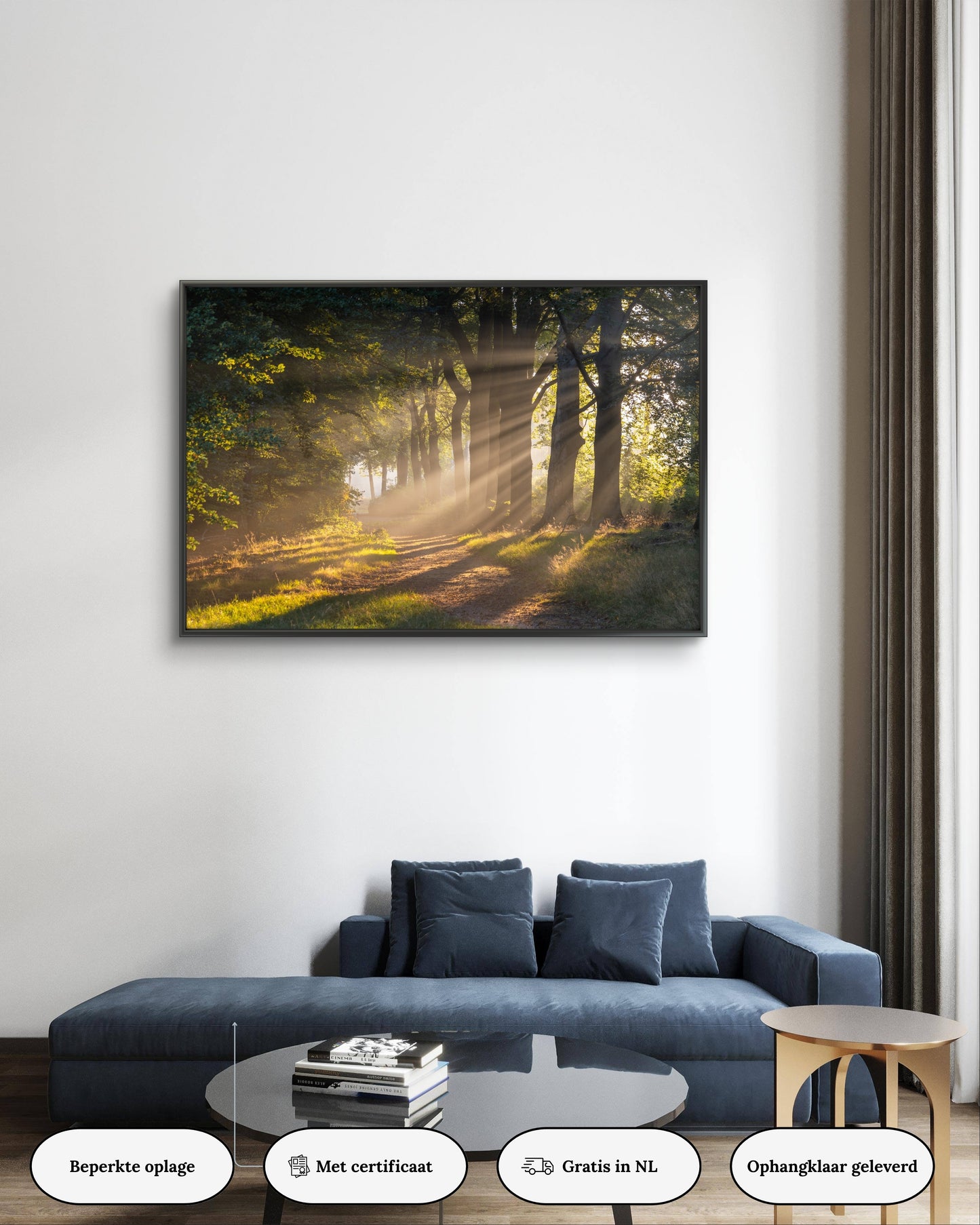 Dibond print: "De magie van de eerste zonnestralen die door de mist rijken"
