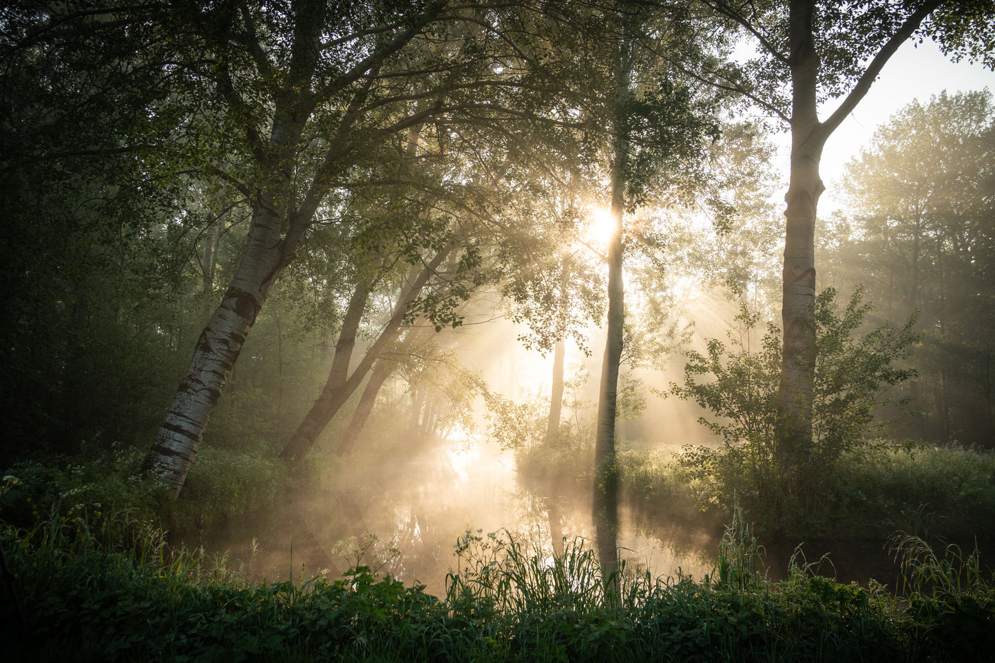 Dibond print: "De magie van de vroege morgen"