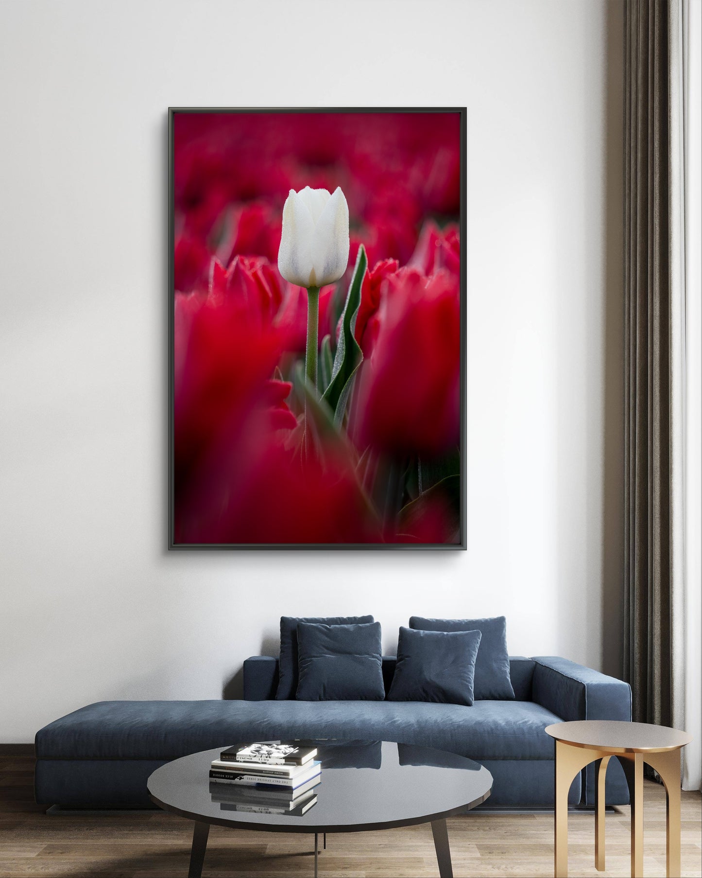 Dibond print: "De witte tulp in de vroege morgen"