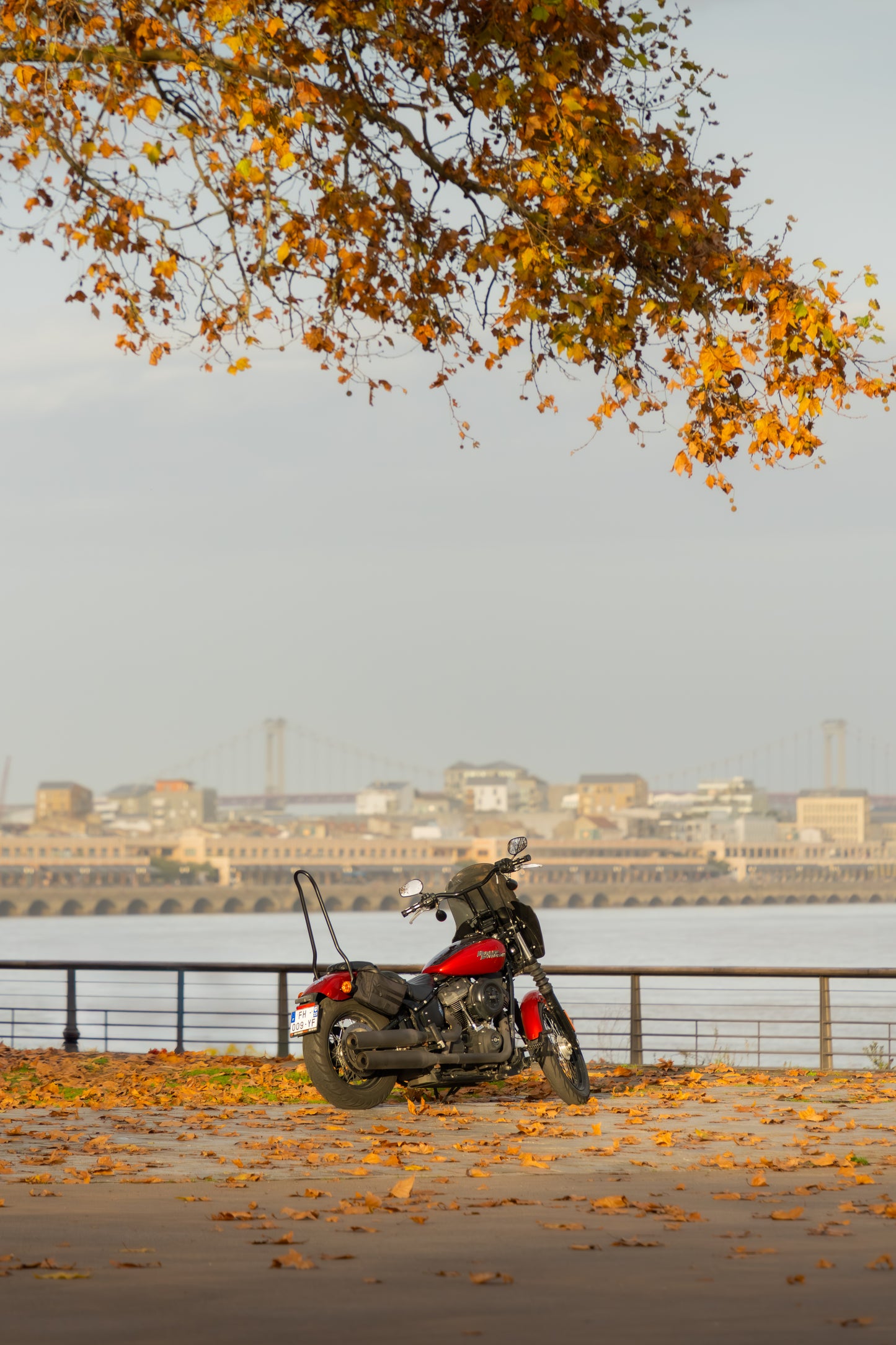 Dibond print: "Harley Davidson in Bordeaux"