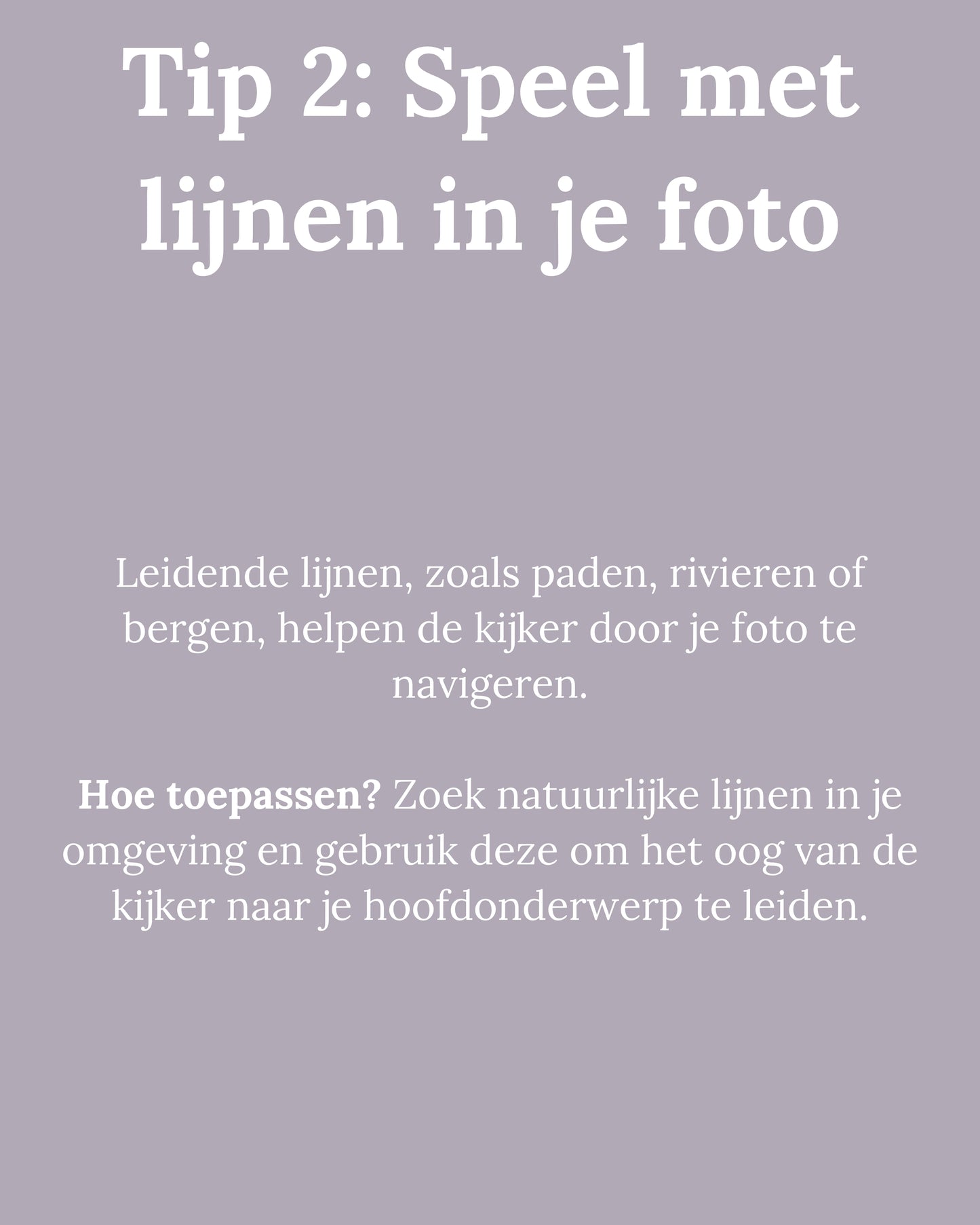 E-book: "10 Tips voor professionele composities in natuurfotografie"