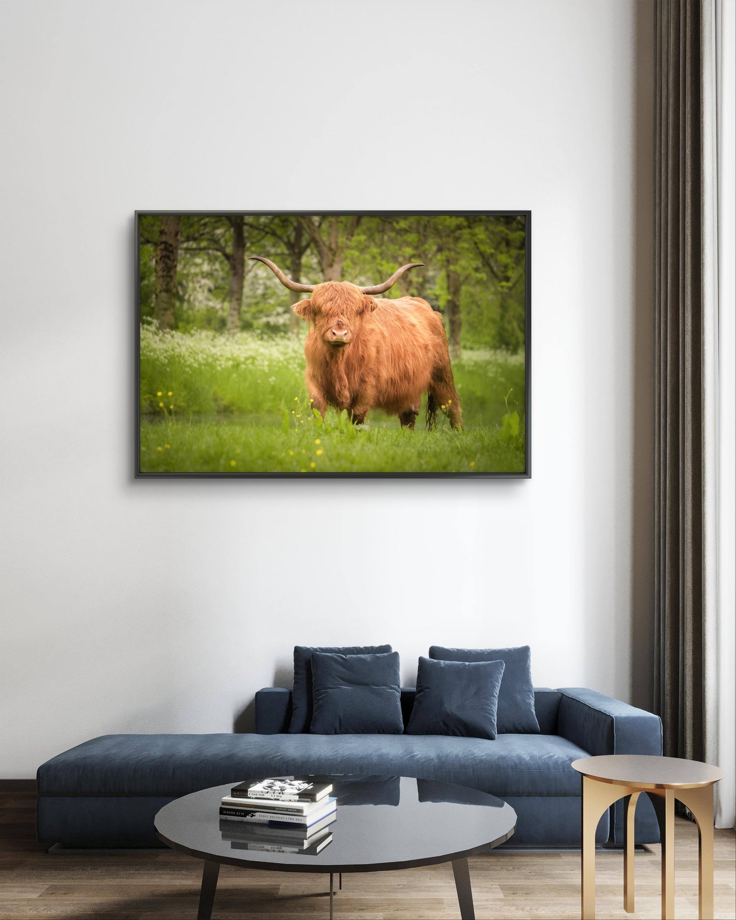 Dibond print: "Schotse hooglander in de lente"