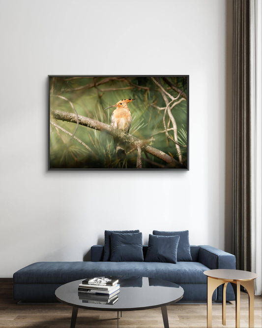Dibond print: "Vleugels van verwondering"