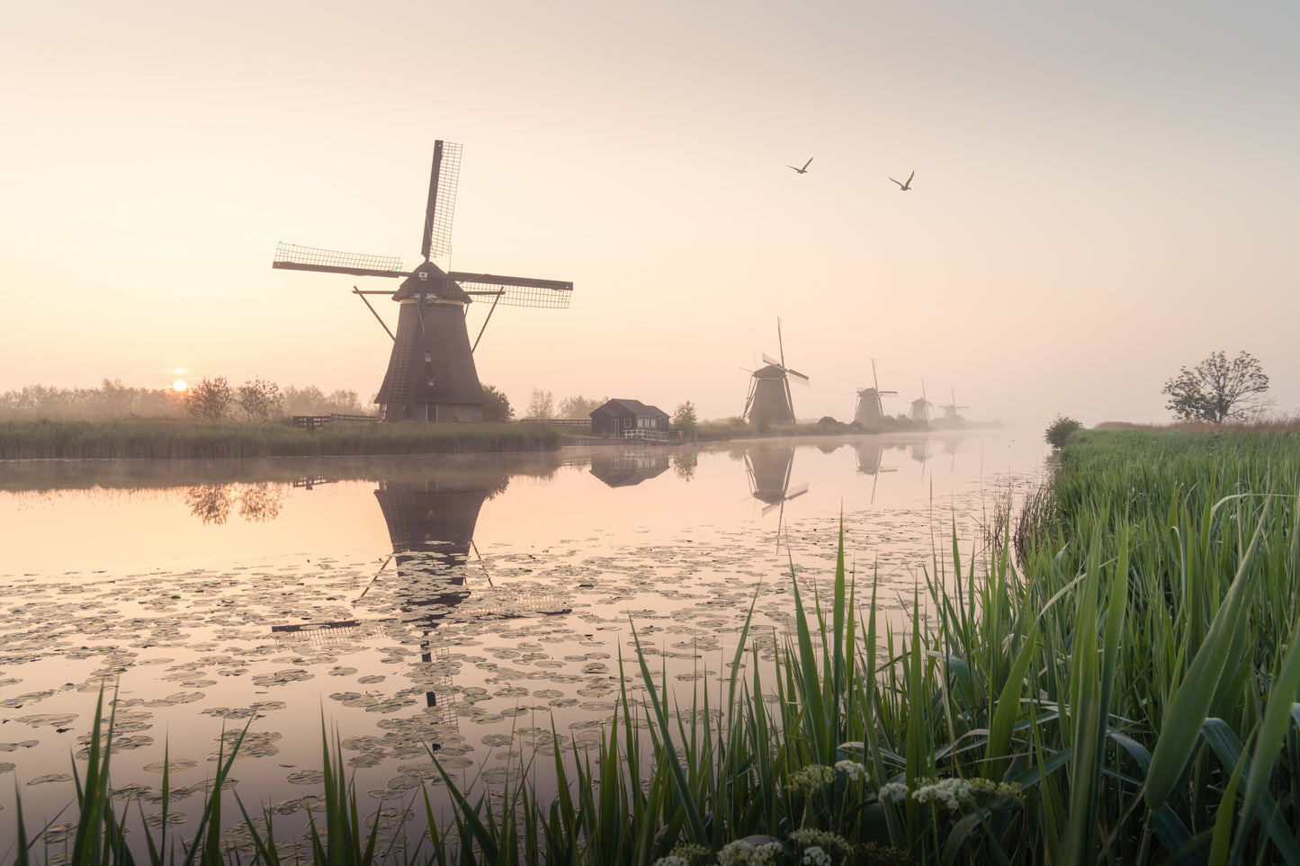 Dibond print: "Ochtend gloren bij Kinderdijk"