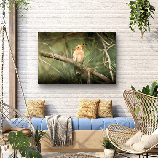 Dibond print: "Vleugels van verwondering"