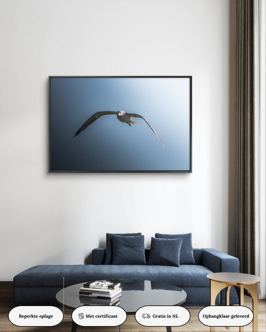 Dibond print: "Dans in de wind"