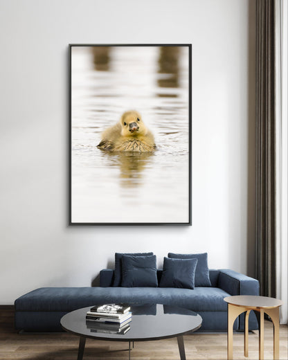 Dibond print: "De onschuldige baby gans"