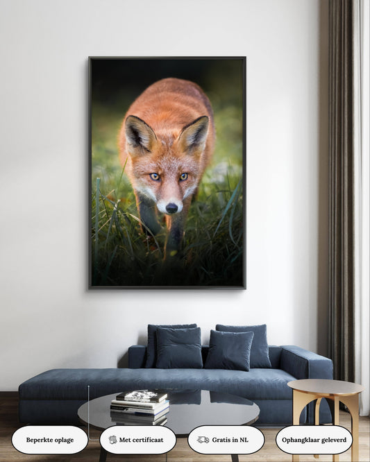 Dibond print: "De sluwe vos"