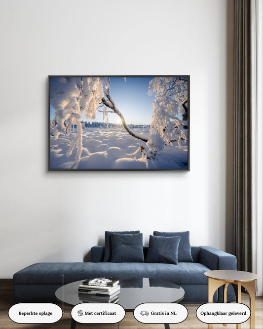 Dibond print: "De verfrissing van de winter"