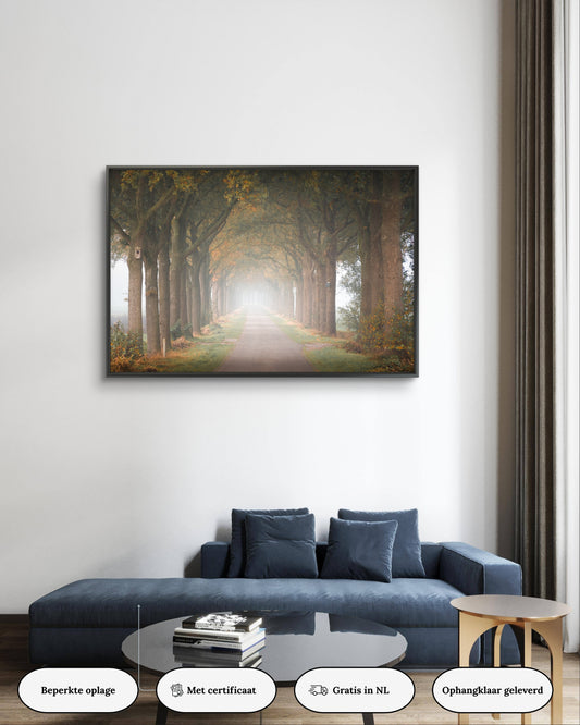 Dibond print: "De warme kleuren van de herfst"