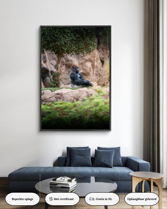 Dibond print: "De wijze van het woud"
