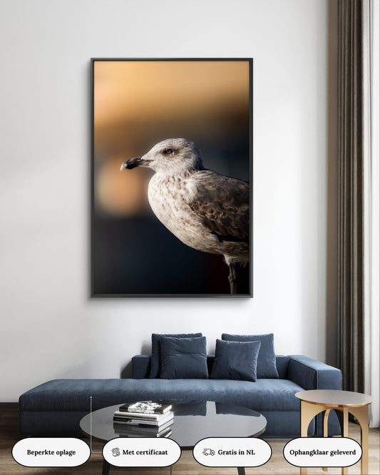 Dibond print: "De witte wachter"