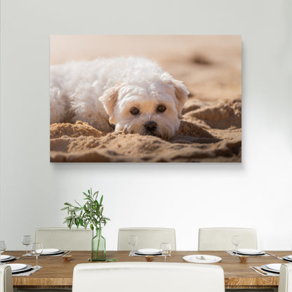 Dibond print: "Dromend op het zand"