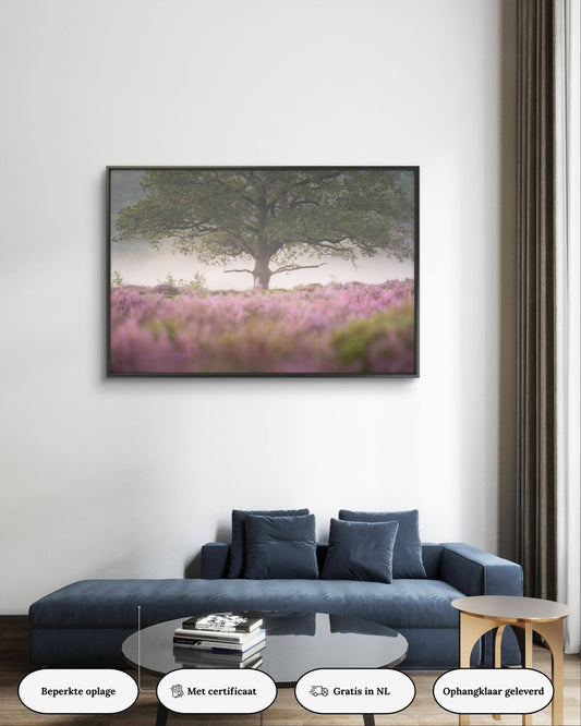 Dibond print: "Een geweldige boom op de bloeiende heide"