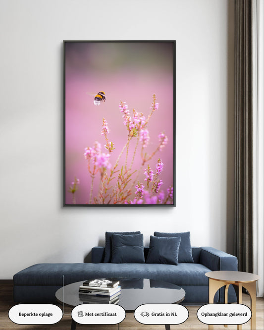Dibond print: "Een hommel op de heide"