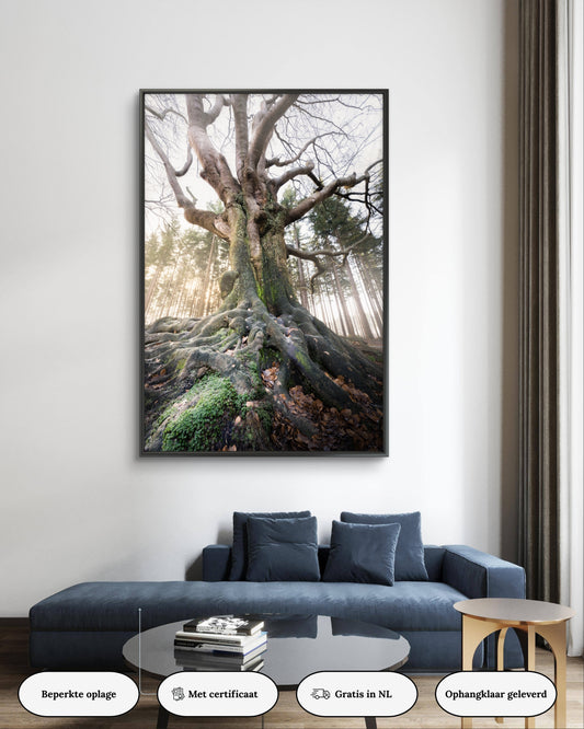 Dibond print: "Eindeloze wortels"