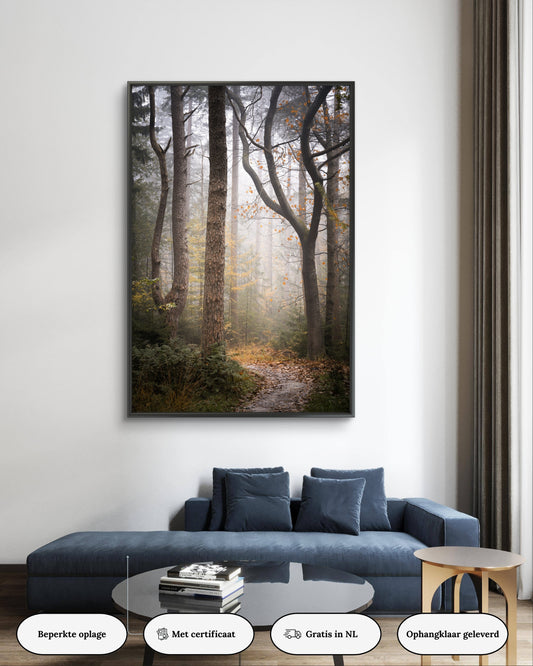 Dibond print: "Het mystieke bospad"