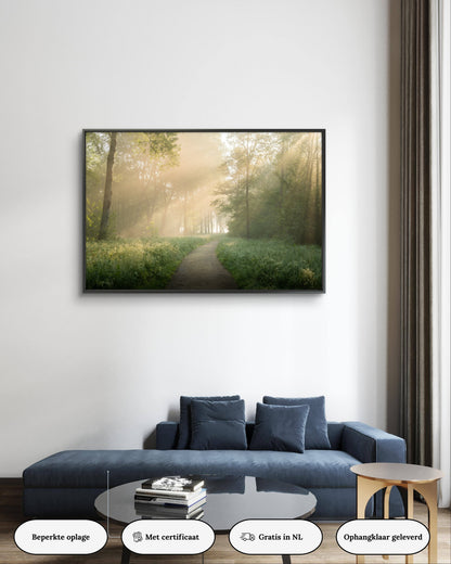 Dibond print: "Het pad naar geweldige zonneharpen"
