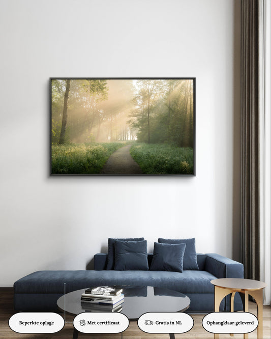 Dibond print: "Het pad naar geweldige zonneharpen"