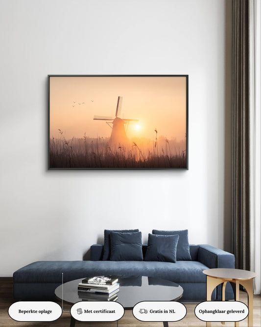 Dibond print: "Hollandse glorie in zijn puurste vorm"