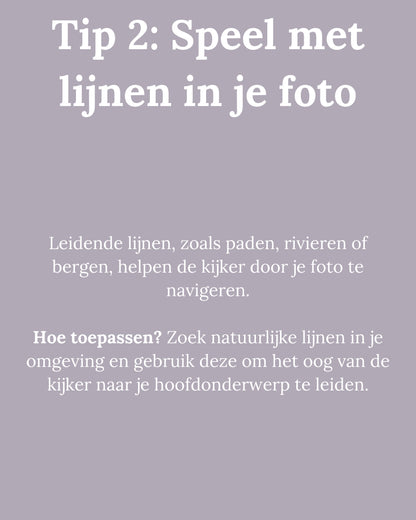 E-book: "10 Tips voor professionele composities in natuurfotografie"