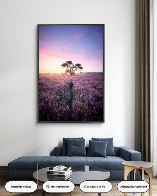 Dibond print: "Kleurrijke zonsopkomst op de Friese heide"