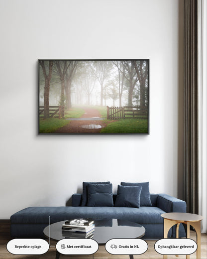 Dibond print: "Misty morning in the Sneeker Rasterhofpark"