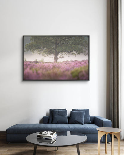 Dibond print: "Een geweldige boom op de bloeiende heide"