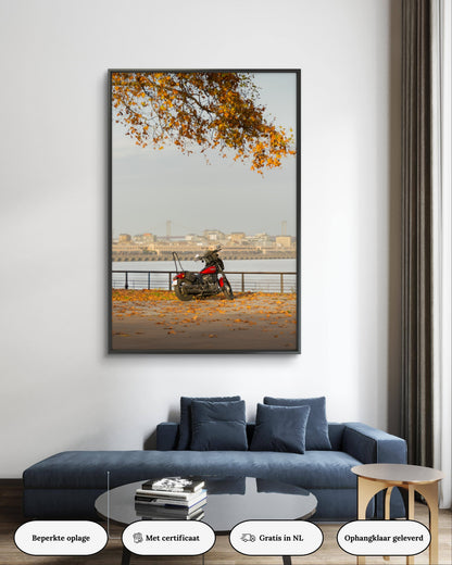Dibond print: "Harley Davidson in Bordeaux"