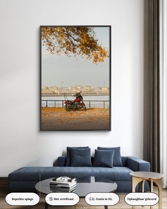 Dibond print: "Harley Davidson in Bordeaux"
