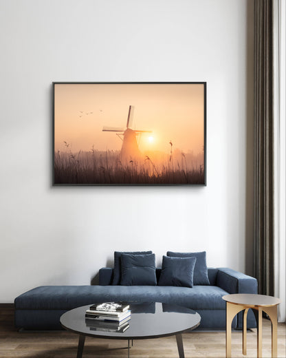 Dutch glory in its purest form