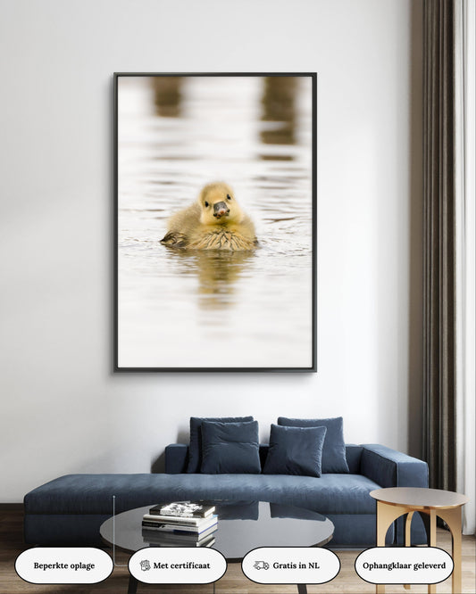 Dibond print: "De onschuldige baby gans"