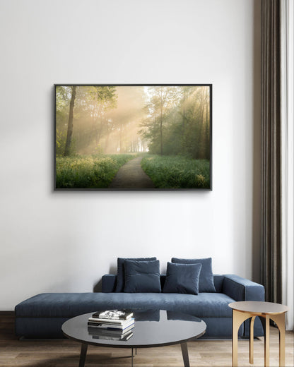 Dibond print: "Het pad naar geweldige zonneharpen"